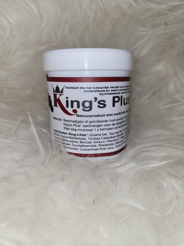 King's Plus